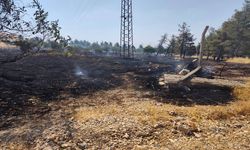 Şanlıurfa’da Anız Yangını Kısa Sürede Söndürüldü