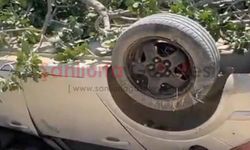 Şanlıurfa’da direksiyon hakimiyetini kaybeden araç fıstık tarlasına daldı; Sürücüsü kayıplara karıştı!