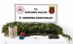 Şanlıurfa’da hareketli dakikalar: Önce tespit, sonra yakapaça gözaltı!