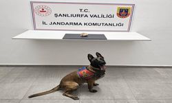 Şanlıurfa’da uyuşturucu simsarlarına operasyon: 1 gözaltı!