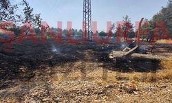 Şanlıurfa’da Anız Yangını Kısa Sürede Söndürüldü