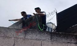 Şanlıurfa'da evin çatısında çıkan yangını zabıta ekipleri söndürdü