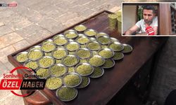 Şanlıurfa Balıklıgöl’de balıklar için alarm: Yetkililer ziyaretçileri uyardı