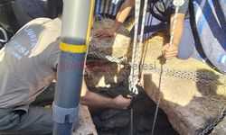 Şanlıurfa Akçakale'de kuyuya düşen Hamit Taş hayatını kaybetti!