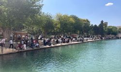 Görenler gözlerine inanamadı: Şanlıurfa'da tarihi gün, sebebini duyan şaşırıyor!