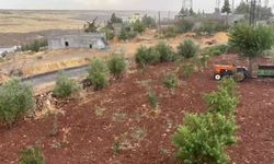 Şanlıurfa’da Yağış Alarmı! Dolu Ve Sağanak Kentte Etkili Oldu