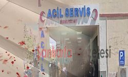Misafirlik değil tuzak: Şanlıurfa'da ev sahiplerinin dehşet gecesi kanlı bitti, 3 yaralı!