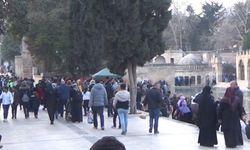 “Şanlıurfa’da bir gölün ardındaki sır: Hz. İbrahim’in mucizesine inanılıyor”