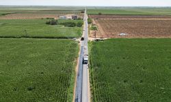 Daha Önce Bozuktu, Şimdi Yenileniyor! Ceylanpınar’da Yol Mesaisi