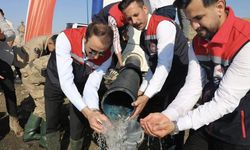 Şanlıurfa’da Su Kaynakları İçin Balık Üretimi Sürüyor