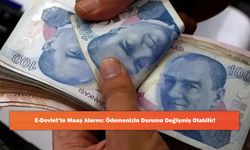 E-Devlet’te Maaş Alarmı: Ödemenizin Durumu Değişmiş Olabilir!