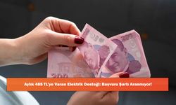 Aylık 485 TL’ye Varan Elektrik Desteği: Başvuru Şartı Aranmıyor!