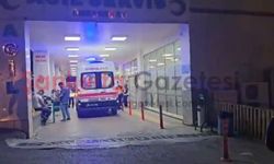 Şanlıurfa’da Otomobil Şarampole Devrildi: 2 Yaralı