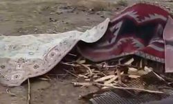 Şanlıurfa Milletvekili Mahmut Tanal'ın gündeminde tarım işçilerinin zorlu mesaisi vardı: "Yetkililer göreve"