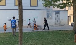 Koltuğu Ateşe Verdiler, Sonra Söndürmek İçin Bakın Ne Yaptılar!