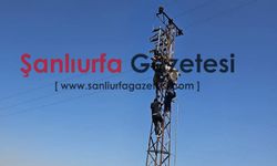 Şanlıurfa’da elektrik akımına kapılan vatandaş direkte asılı kaldı!