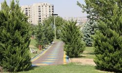 Şanlıurfa’da Yeşil Alan Atağı! Karaköprü’ye 120 Bin Metrekare Ekleniyor