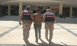 Şanlıurfa'da hareketli dakikalar: Jandarma affetmedi!