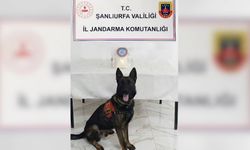 Şanlıurfa'da torbacı operasyonu: 3 gözaltı!