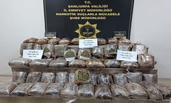Şanlıurfa İl Emniyet Müdürlüğü 158 bin 800 vatandaşın hayatını kurtardı!