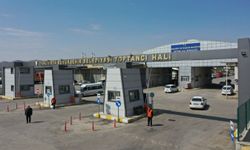 Şanlıurfa Halinde Fiyatlar Değişti: Domates, Biber Ve Patlıcan Kaç TL Oldu?