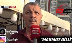 Şanlıurfa'da Karadeniz Ziyafeti: Hamsi Yerine Palamut Getirdiler!
