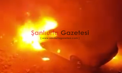 Şanlıurfa’da otomobil önce tarandı, ardından ateşe verildi!