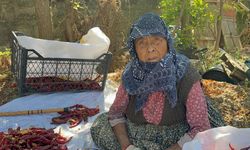 Ata tohumları 90 yaşındaki annenin evladı için verdiği mücadele ile pul biber oluyor