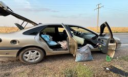 Şanlıurfa’da 75 Kilo Fıstıkla Yakalandılar! Jandarma Suçüstü Yaptı