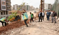 Karaköprü’de Ağaçlandırma Seferberliği! 2027 Planı Şimdiden Hazırlanıyor