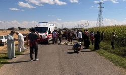 Şanlıurfa’da Feci Motosiklet Kazası: 2 Ölü