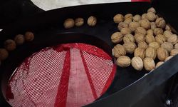 Şanlıurfa baklavasına yerli transfer: Sanayinin ceviz ihtiyacı Dinar’dan karşılanıyor
