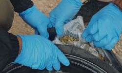 Şanlıurfa’da Ticari Takside 2 Kilo 100 Gram Skunk Ele Geçirildi: 1 Tutuklama