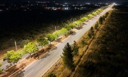 Şanlıurfa GAP Havalimanı Yolunda Büyük Değişim! İşte Detaylar