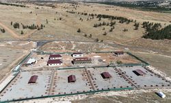 Şanlıurfa’da Atık Gıdalar Mamaya Dönüşecek! İşte Detaylar