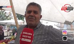 Şanlıurfa’da nar bereketiyle tezgahlara indi: Kabuğu bile faydalı meyvenin fiyatı belli oldu