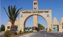 Şanlıurfa'da üniversitede öğretim görevlisi hayatını kaybetti