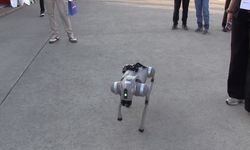 TEKNOFEST Güneydoğu’da robot köpek dans etti, kalp yaparak çocukların sevgilisi oldu!