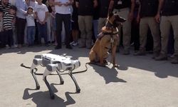 Robot köpek ve gerçek görev köpeği Şanlıurfa'da tarihi gösteriyle hayran bıraktı