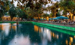 Şanlıurfa’da Balıklıgöl’ün Yeni Gözdesi Belli Oldu!