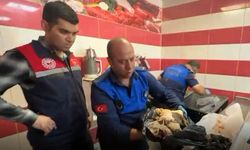 Şanlıurfa’da Denetimde Ortaya Çıktı! 170 Kilogram Bozulmuş Et Ele Geçirildi