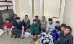 Şanlıurfa’da Göçmen Kaçakçılığına Yönelik Operasyon: 61 Şüpheli Hakkında İşlem