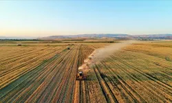 TARSİM’de yeni dönem için pilot il Şanlıurfa’dan başlıyor: Çiftçinin kuraklık hasarı parsel parsel ödenecek