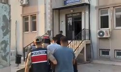Şanlıurfa'da tonlarca fıstığı çalan hırsızlar jandarmaya yakalandı: Çok sayıda tutuklama var!
