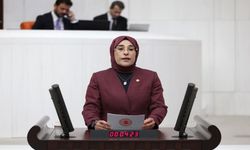 AK Parti Şanlıurfa Milletvekili Yazmacı: "KIZILELMA'ya giden yol Göbeklitepe'den geçti"
