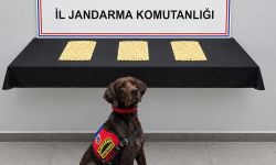 Şanlıurfa Eyyübiye'de torbacı operasyonu: 2 gözaltı!