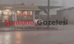 Şanlıurfa’da sağanak yağış etkili oluyor: Derelerde su hareketliliği başladı!
