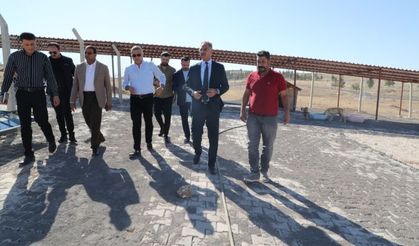 Şanlıurfa Eyyübiye Belediyesi’nden Sokak Hayvanlarına Büyük Destek