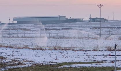Harran’da Kar Altında Sulama: Kaçak Elektrik Kullanımı Ortaya Çıktı