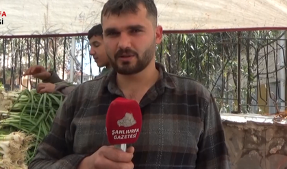 Şanlıurfa'da Pazarda Zam Şoku Fiyatlar Rekor Seviyede!